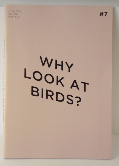 Why Look at Birds?