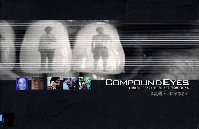 Compound Eyes: Contemporary Video Art from China