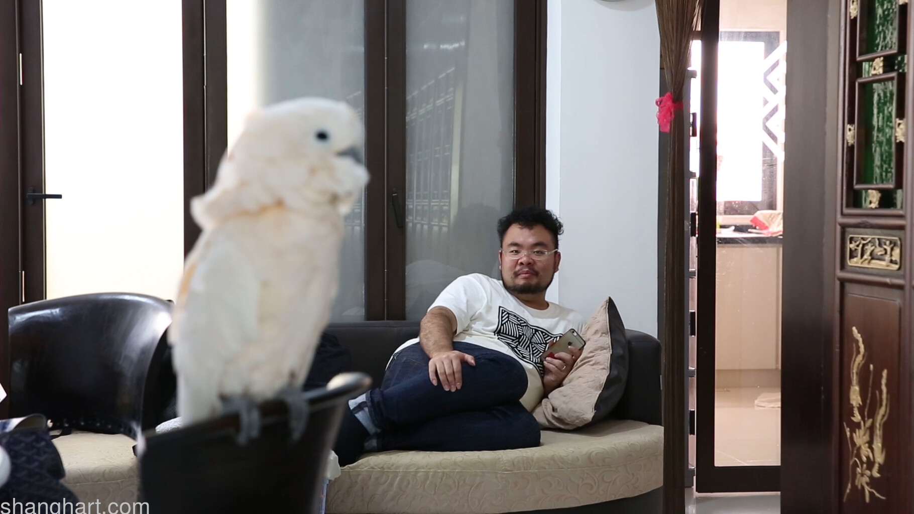 Video still