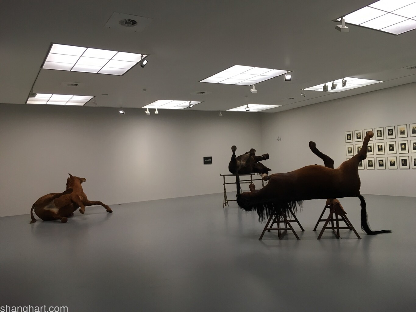 Sanguine | Bloedrood. Luc Tuymans on Baroque Opening