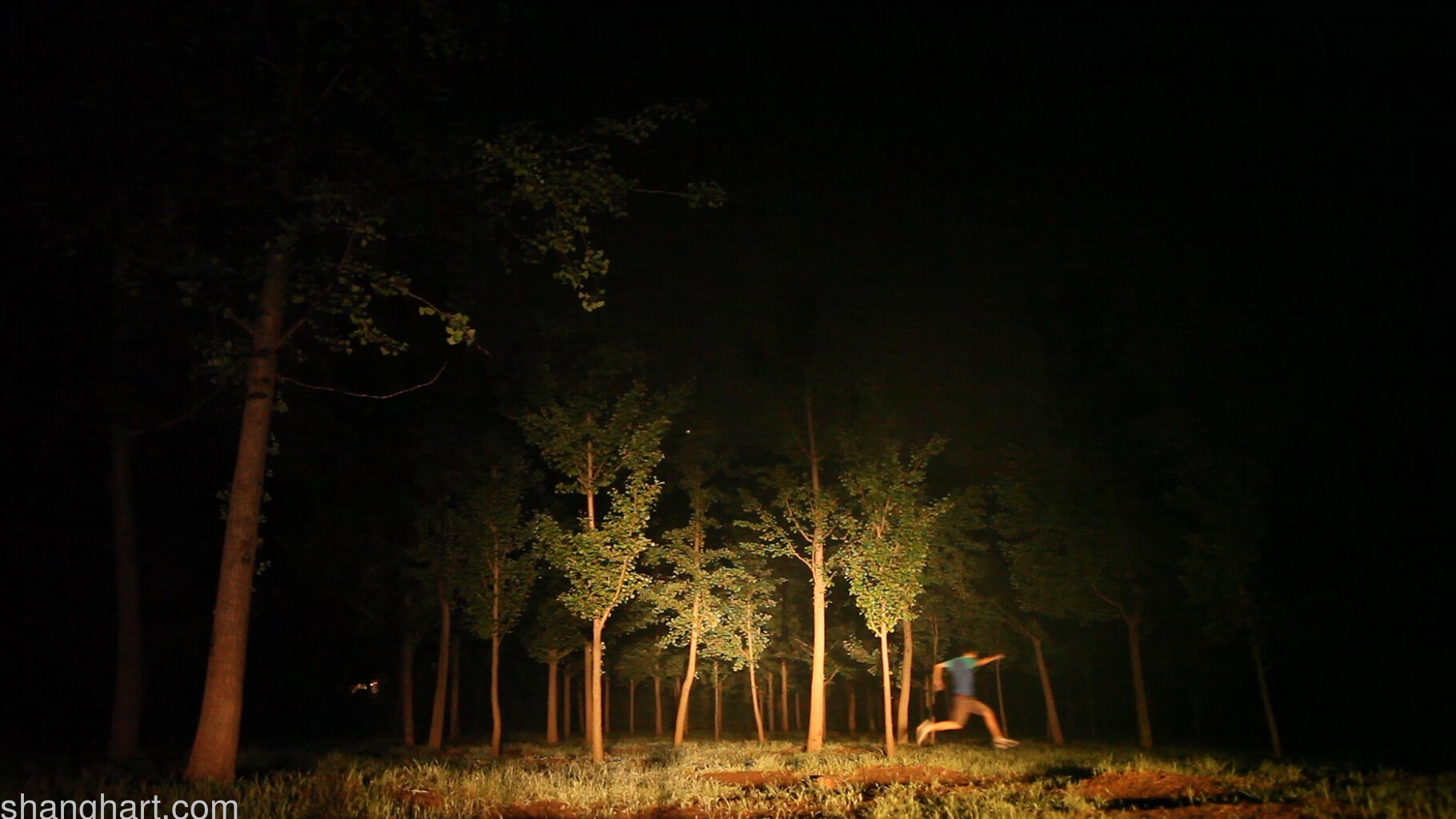 You Can’t Walk Through the Same Woods Repeatedly | 2'6