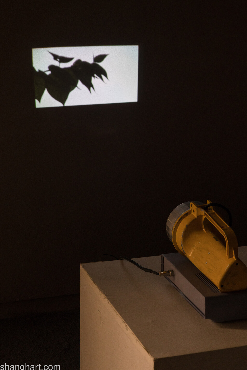 Installation View|Geng Jianyi