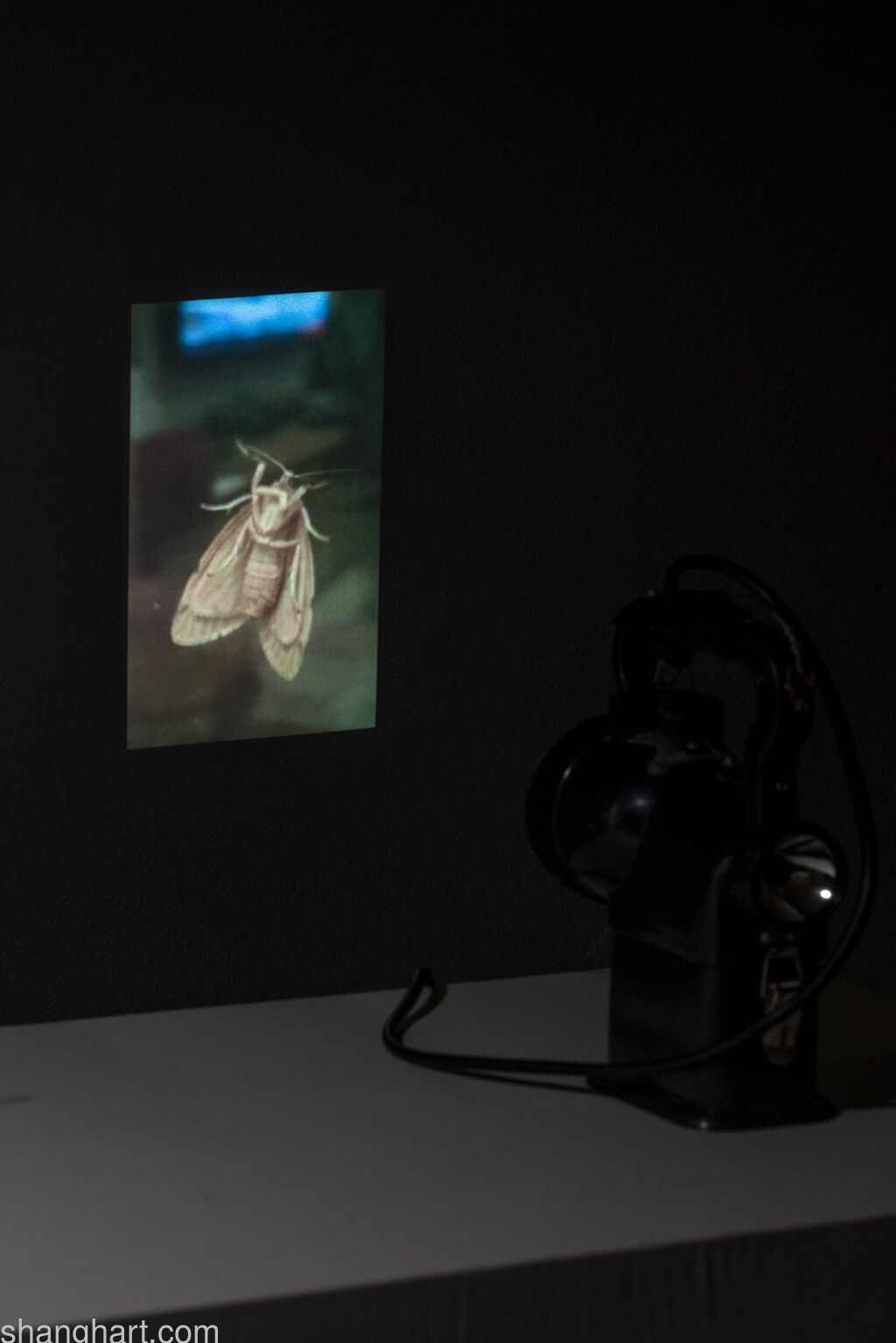 Installation View|Geng Jianyi
