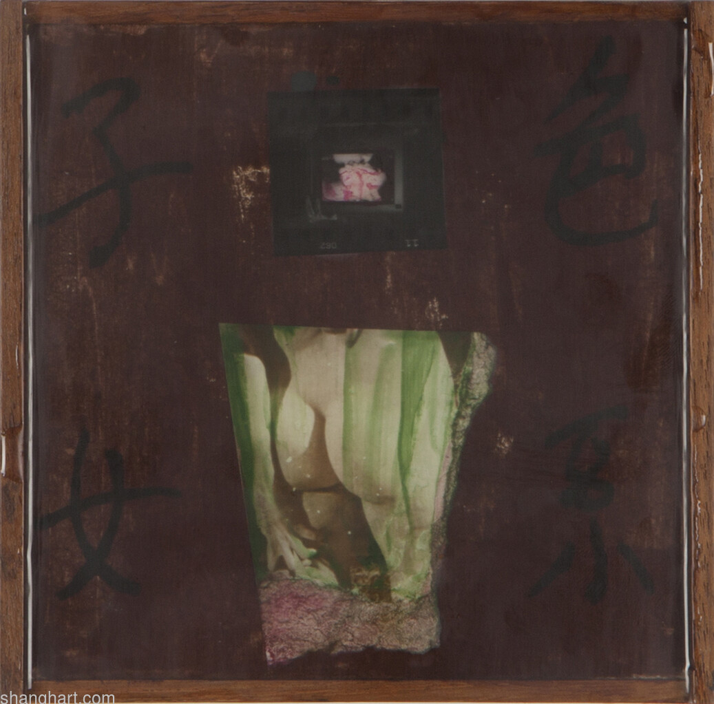 Passions Bloom Ambitions - 2018 - Summer Solstice No. 57 (elmwood, B&W Photograph, Chinese ink, acrylic paints, resin 16.2×16.2cm)