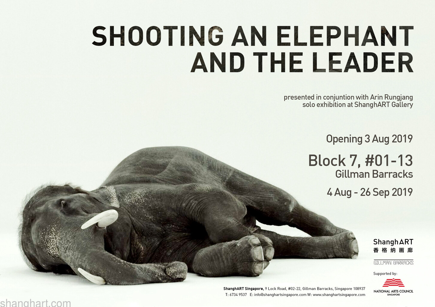 Shooting an Elephant and The Leader