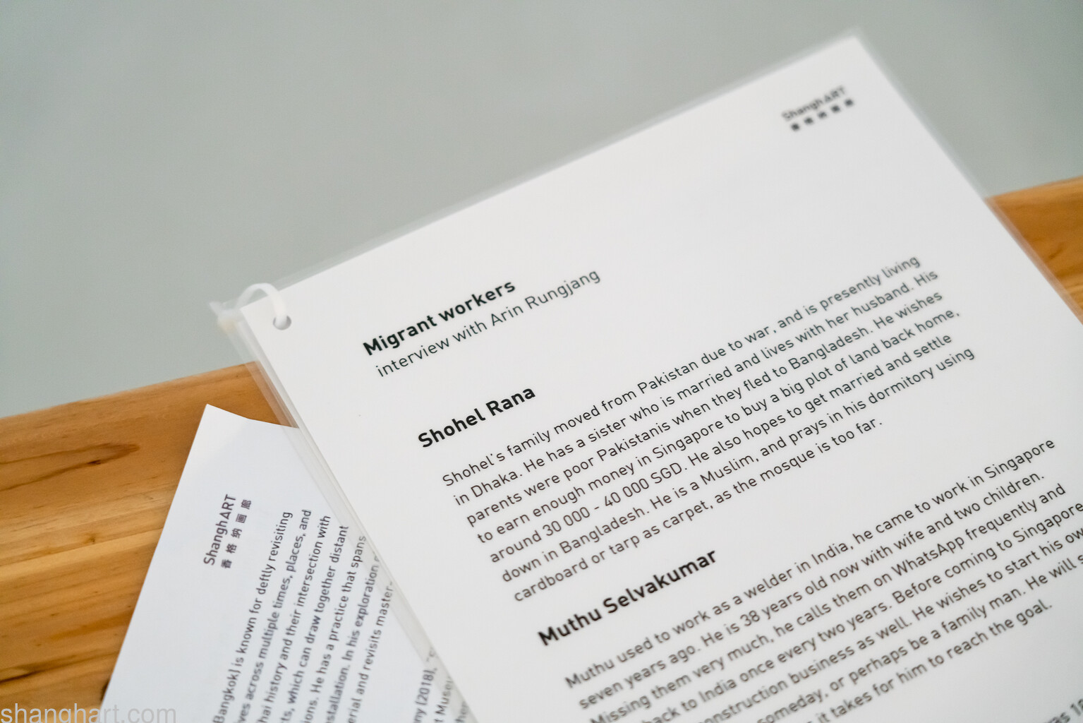 Interview transcripts