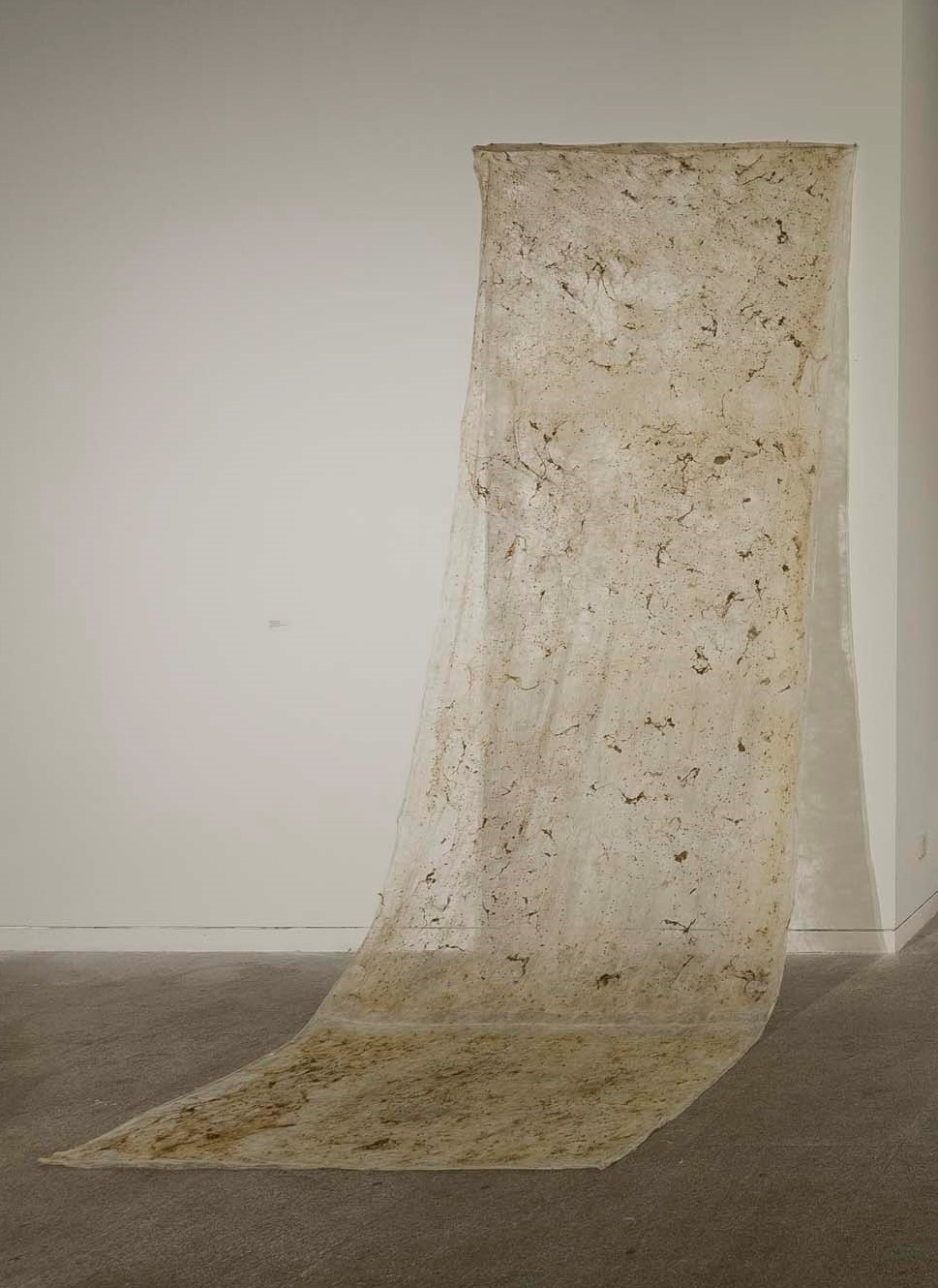 Installation  view at Times Art Museum, Beijing, 2016