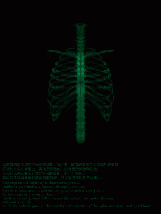 ZD_4606