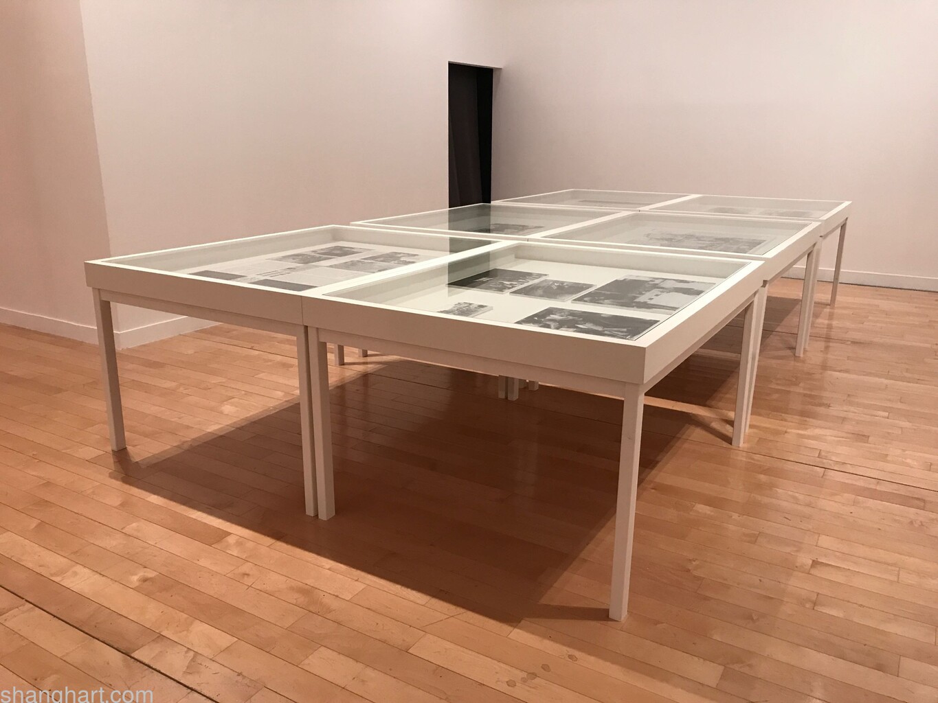 Oil painting on paper and wood installation