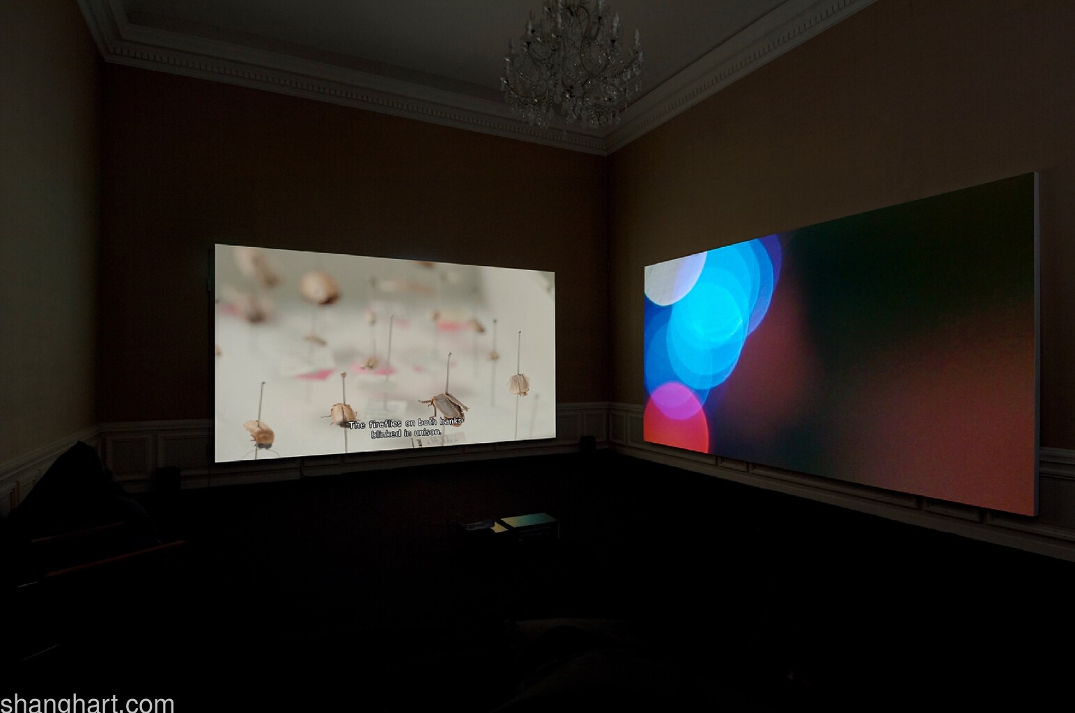 2-channel video installation