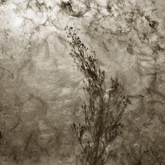 LSJ_3544