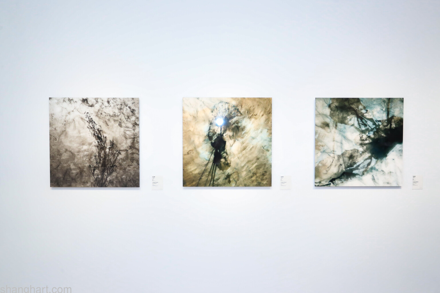 Installation view of Liang Shaoji 