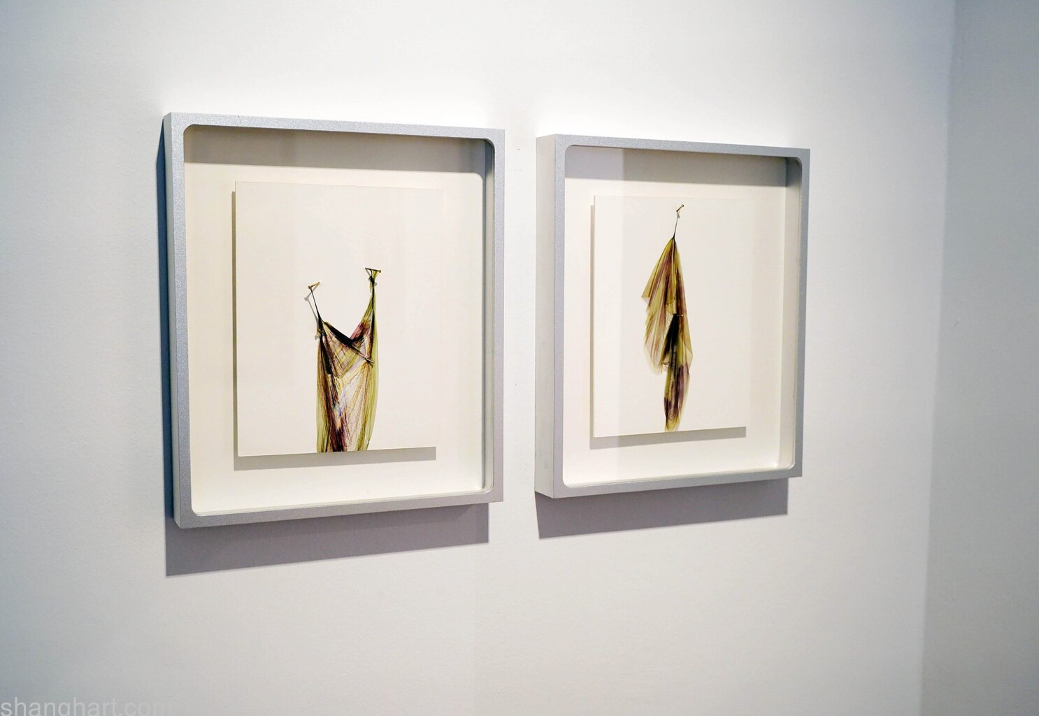 Works by Jiang Pengyi. Photo by Marion Vogel