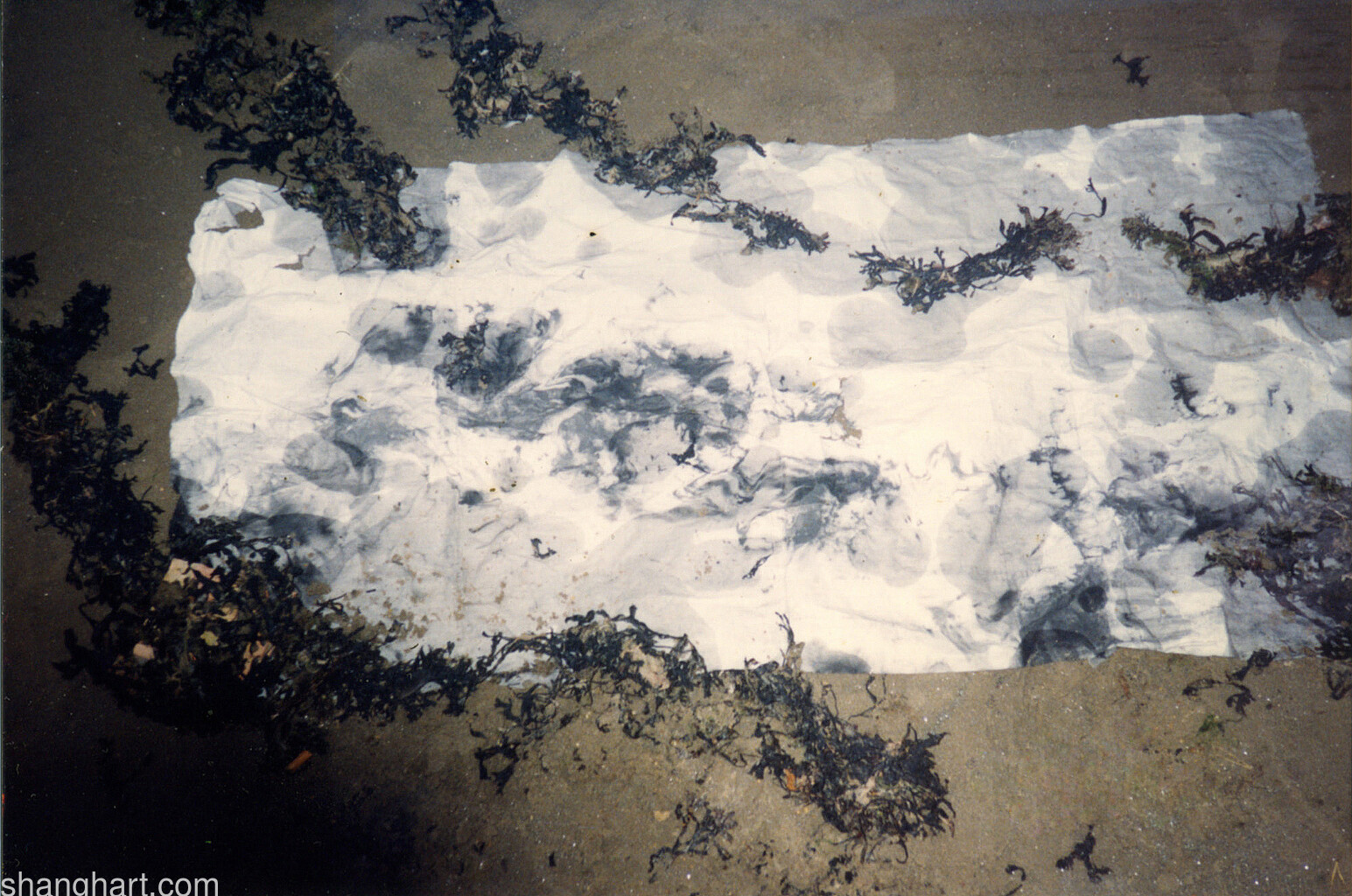 海墨 Sea·Ink, 1993