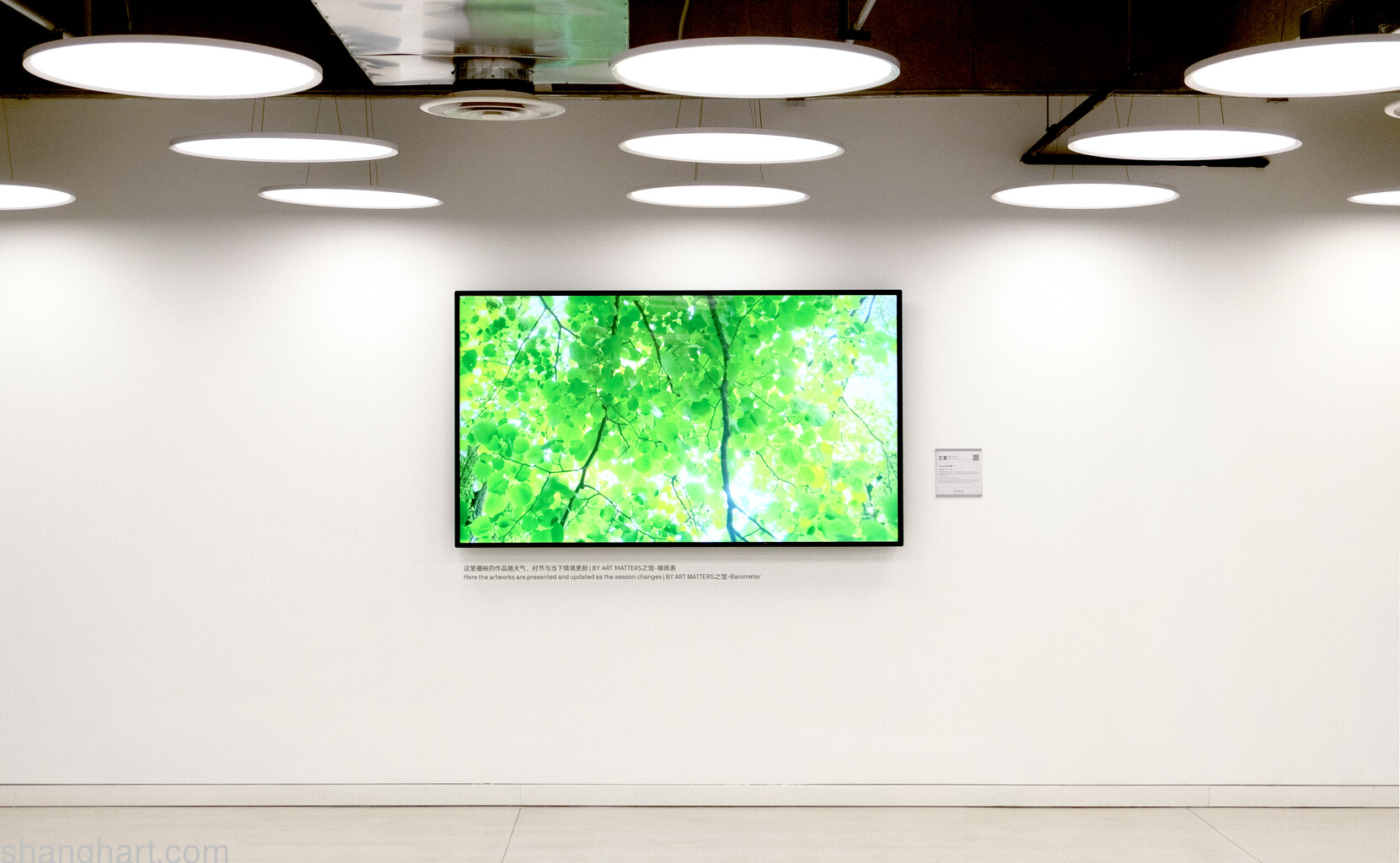Liang Yue, “Can’t Blink”, image courtesy By Art Matters