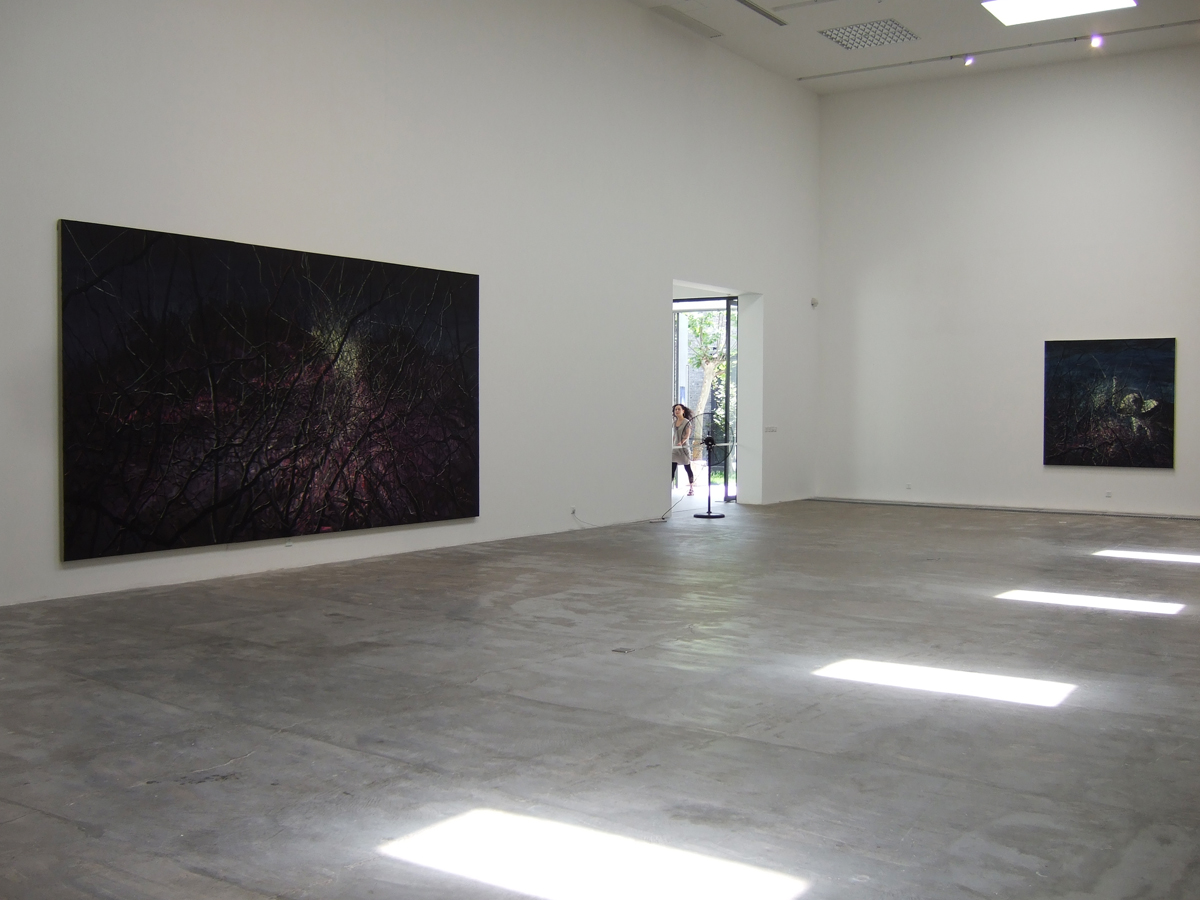 Installation view of the exhibition 5