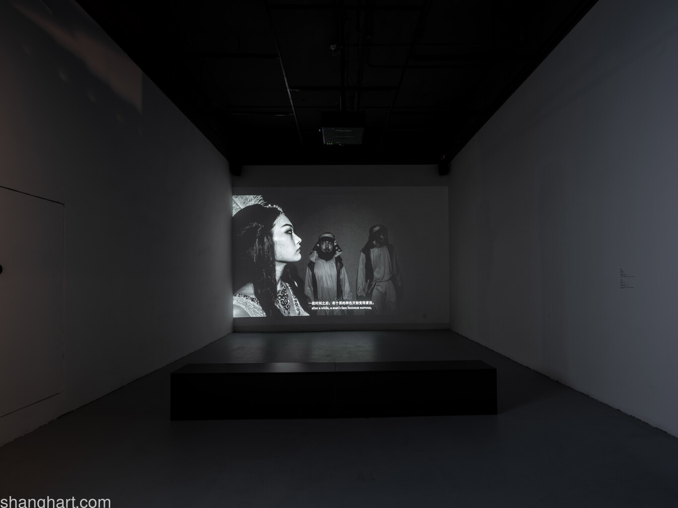 Li Ran_ Night of Patmos_ Installation view, image courtesy OCAT Shanghai
