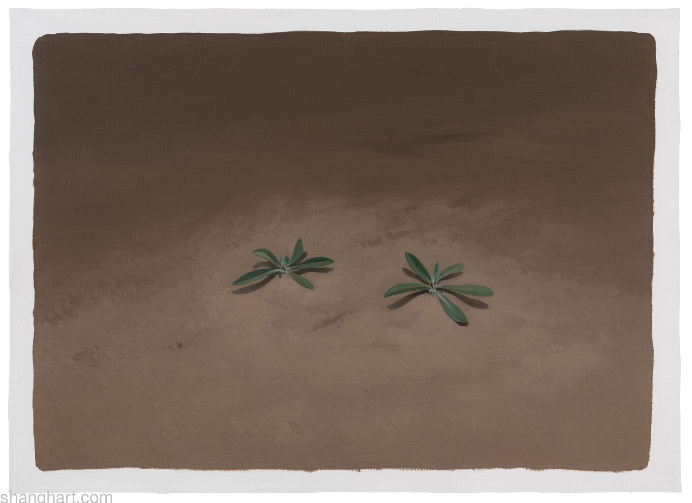 Two Wild Vegetables |  66x91cm