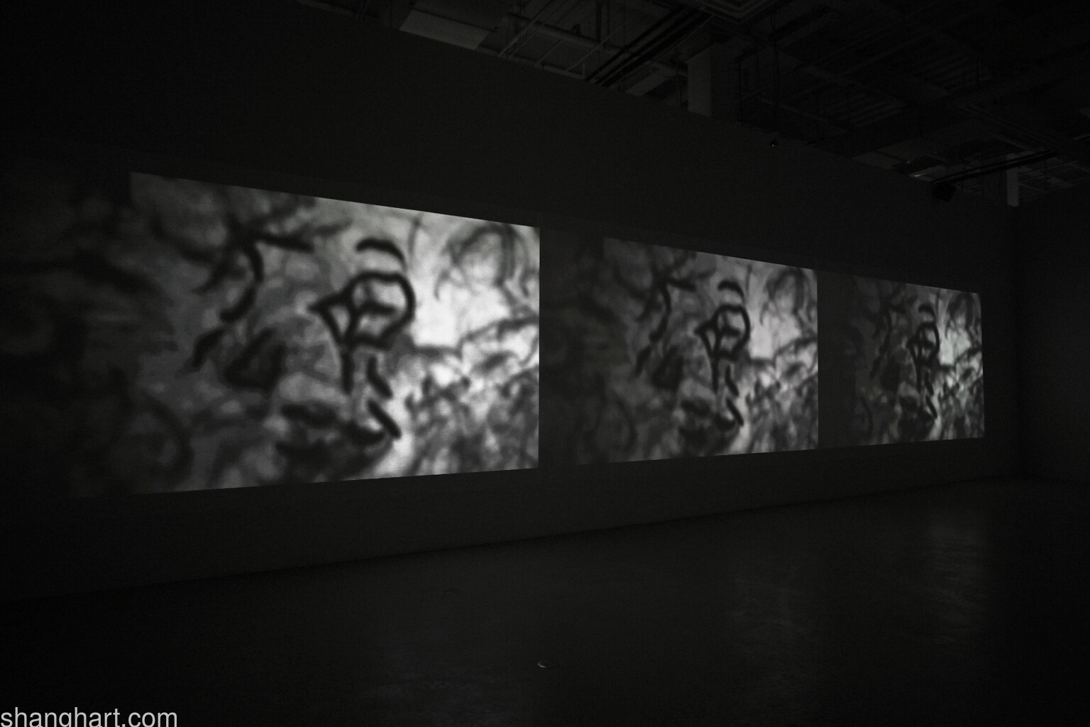 Photos taken by Lin Bingliang