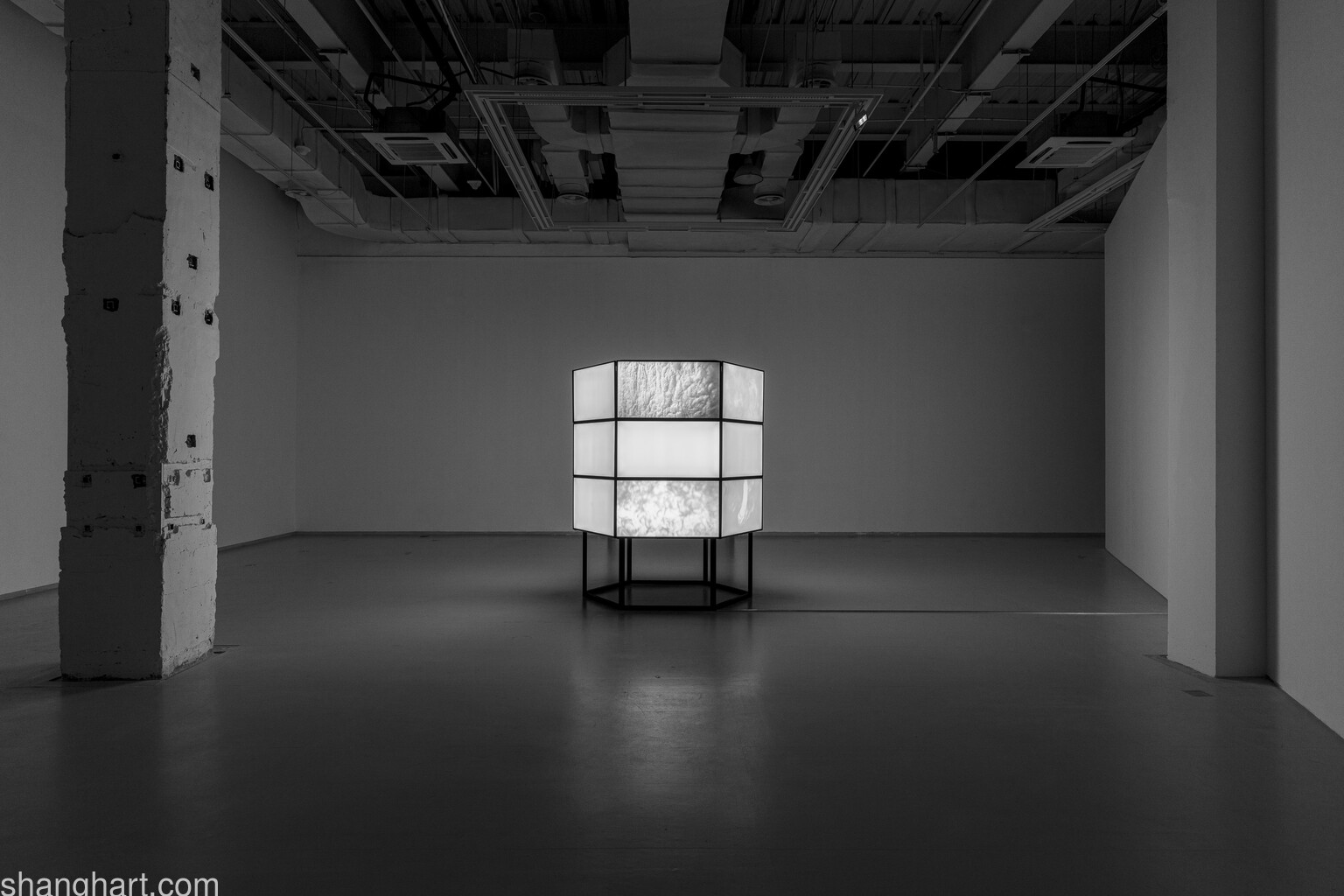 Photos taken by Alessandro Wang