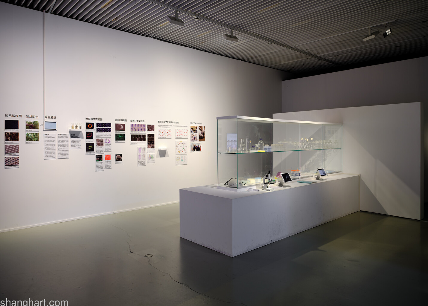 Photos taken by Lin Bingliang