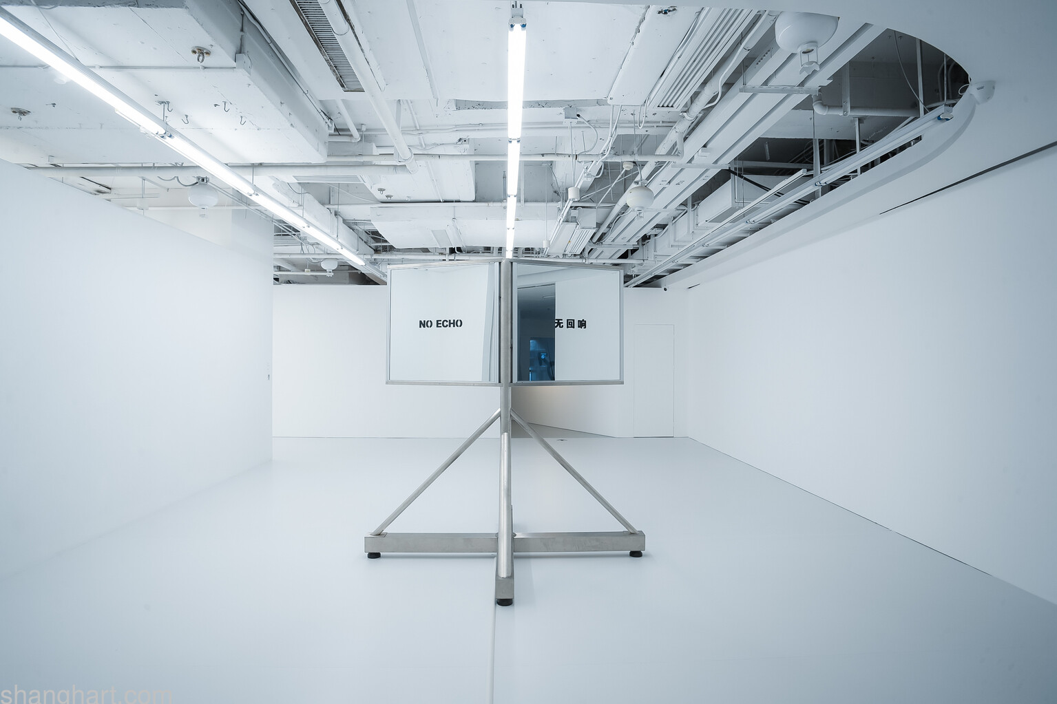 Zhang Ding | No Echo