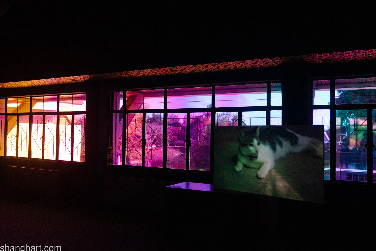 Yang Fudong_The Bitterly Silent Nights I Hate-installation view_Courtesy of Thailand Biennale, Korat 2021