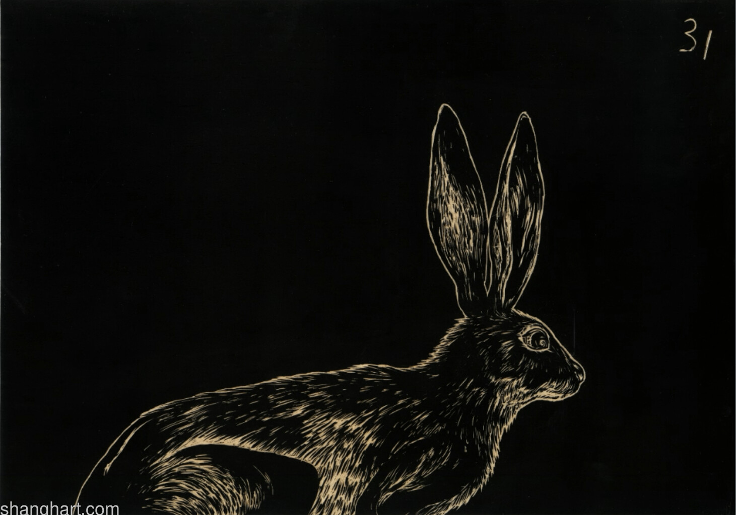 29.7x42cm