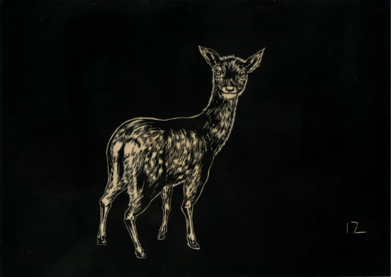 29.7x42cm
