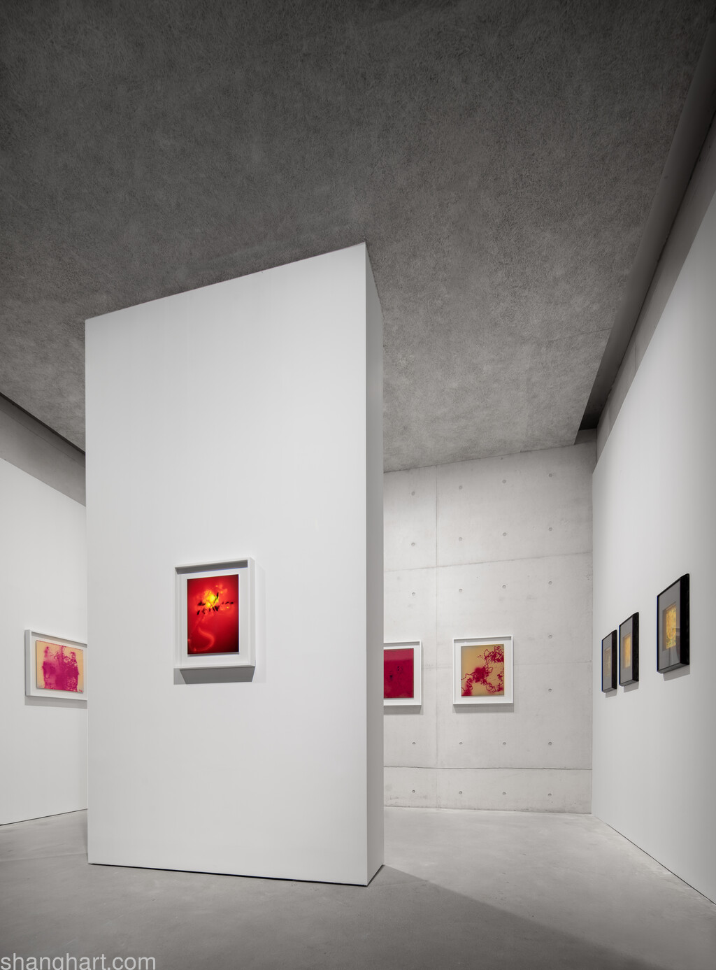 Exhibition view