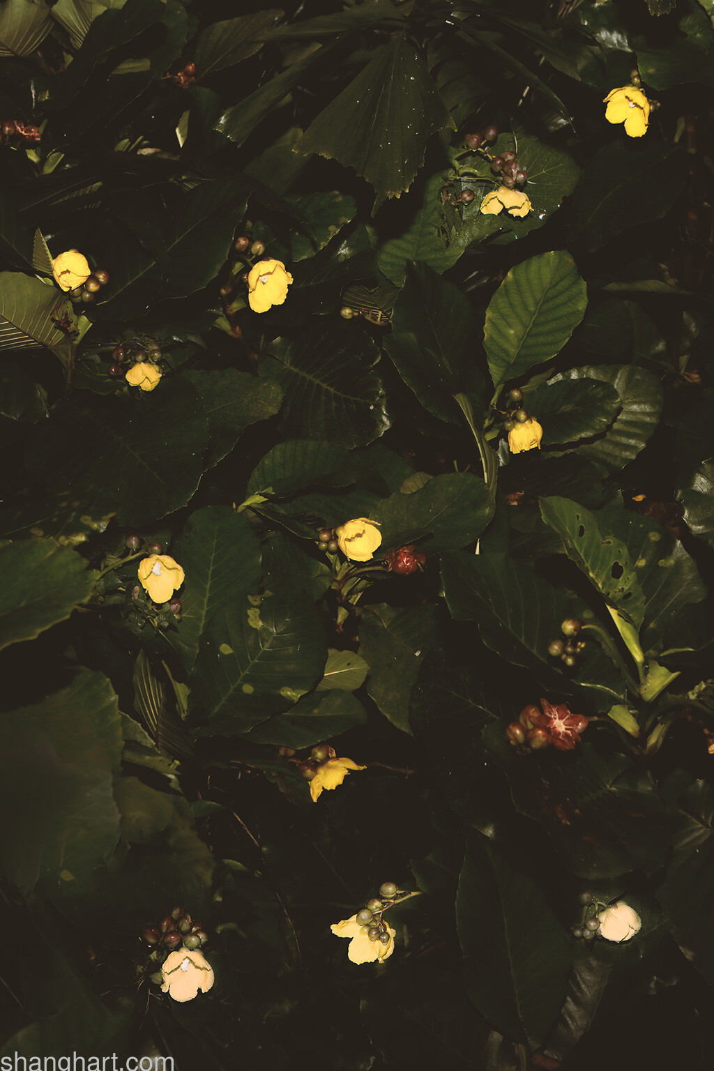 Image; 120 x 80cm