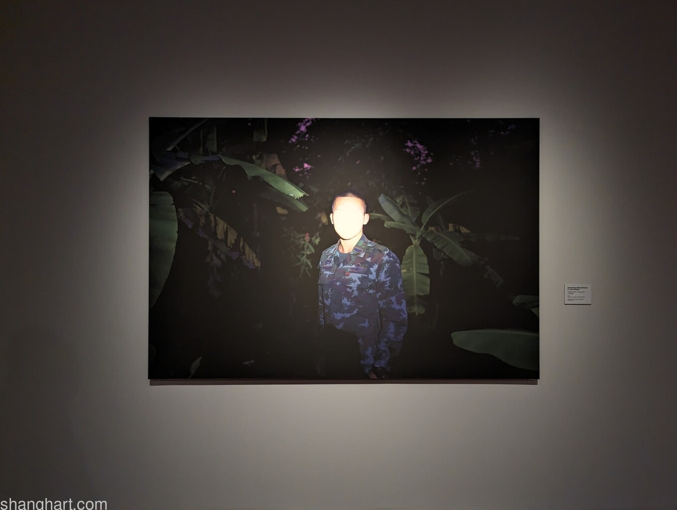 Apichatpong Weerasethakul, Soldier Series: A Young Man at Twilight