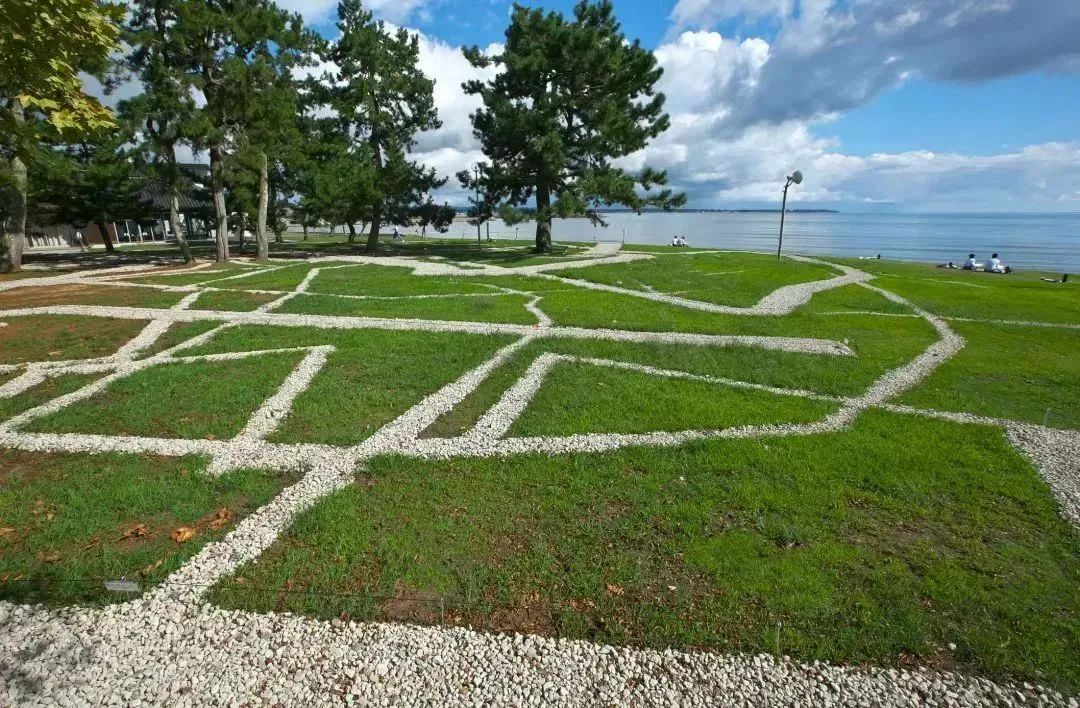 摄影：岡村喜知郎