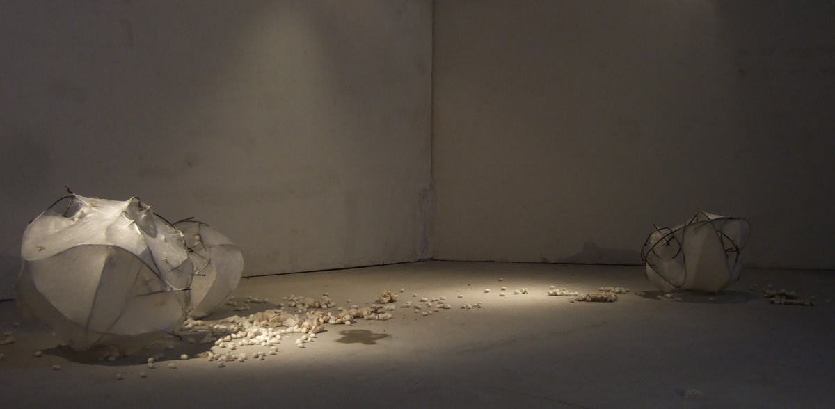 Liang Shaoji work installation view 1