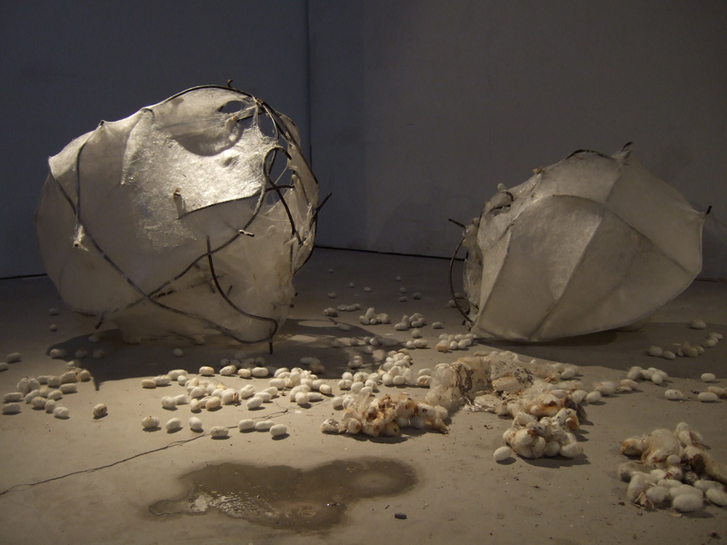 Liang Shaoji work installation view 2