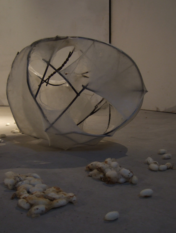 Liang Shaoji work installation view 3