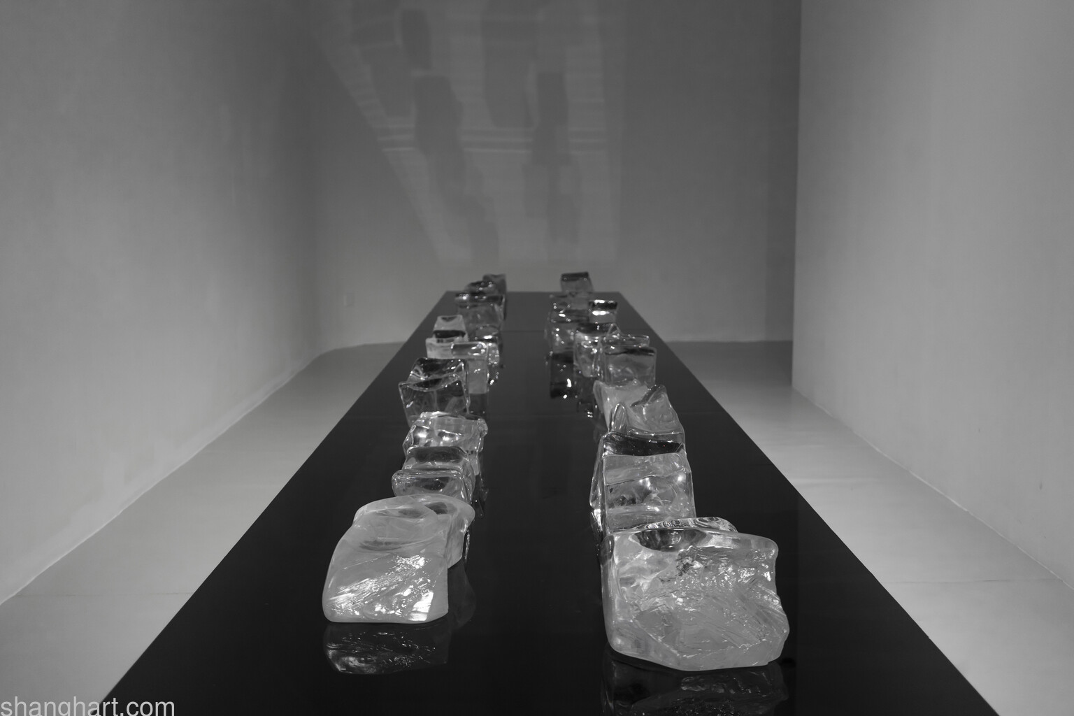 Ice Bed