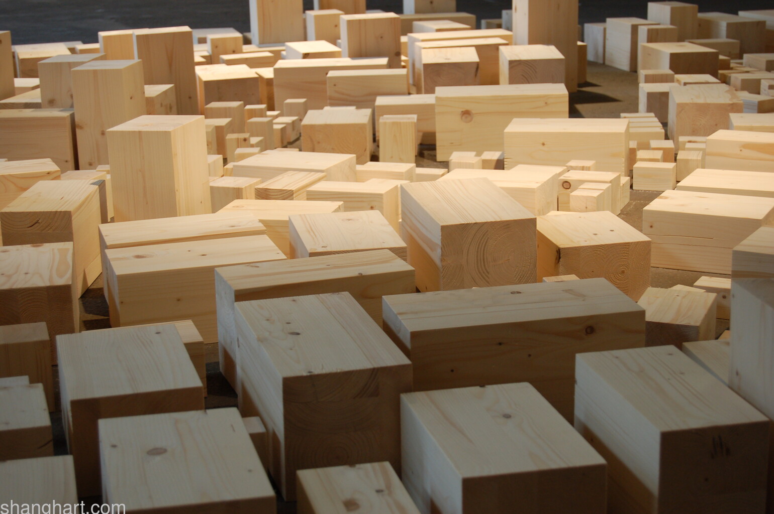 Pu Jie's work installation view 3
