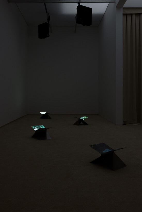 HMY_0147