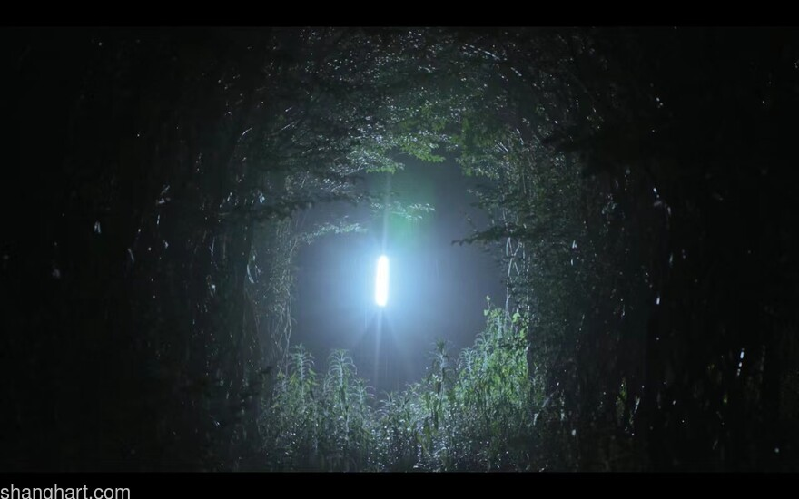 Nightfall，Single channel video, color, sound, 4k，9 minutes 48 seconds，Music：WANG Chenhuai，Cast：LI Jingwei