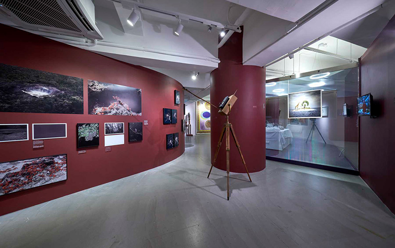 Installation view, Para Site