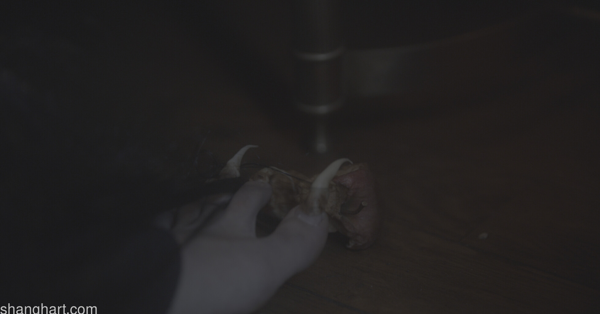 Mole - still 1