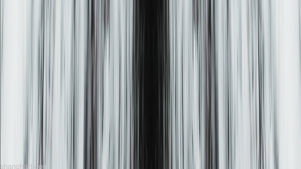 ZWX_0109