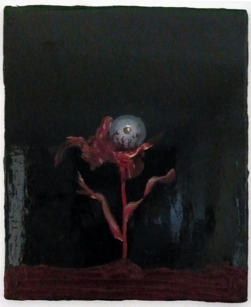 Eye in bloom,2008,51x40cm