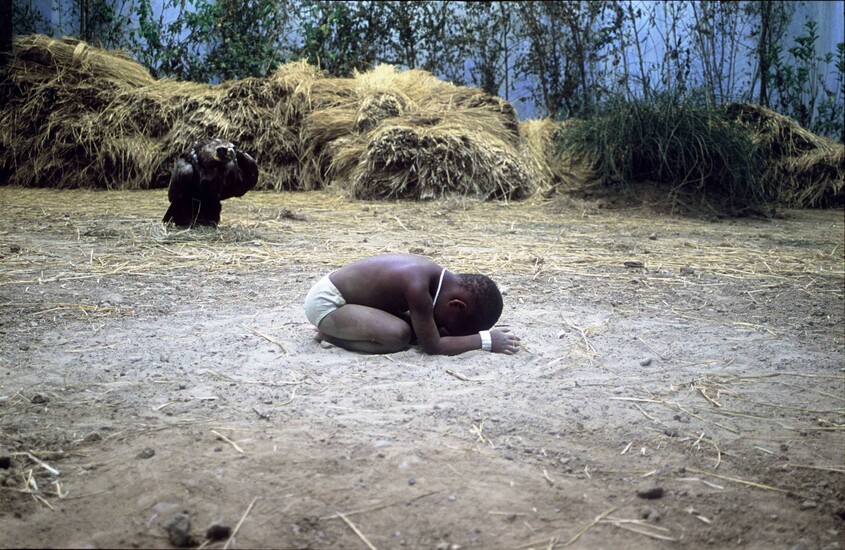 饥饿的苏丹原图图片
