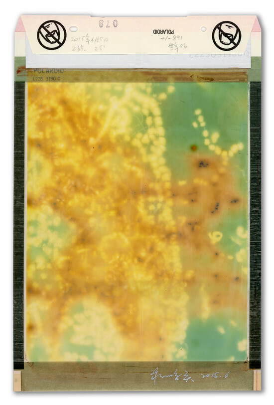 JPY_4264