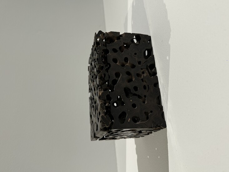 LSH_4975