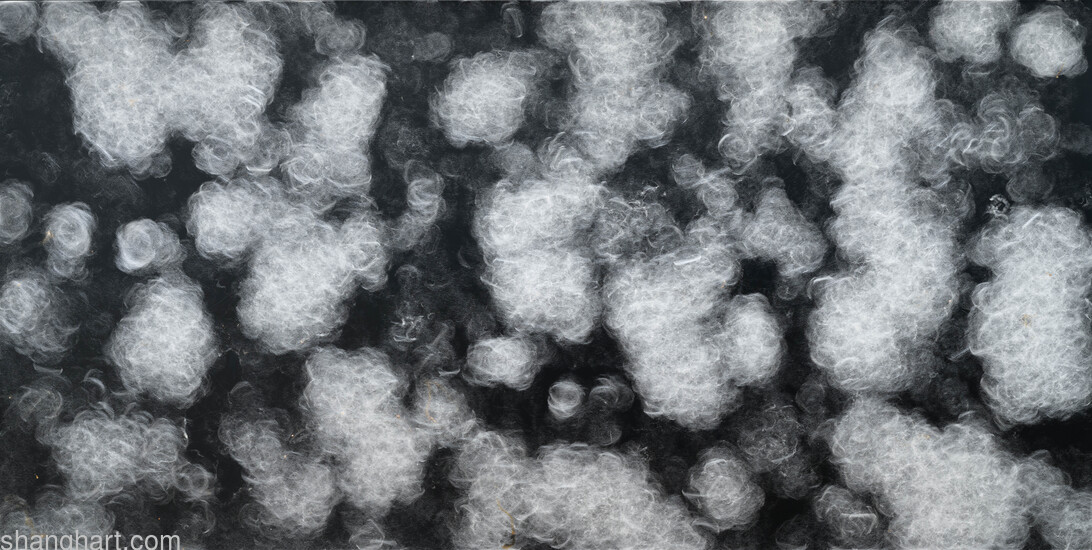 LSJ_9838