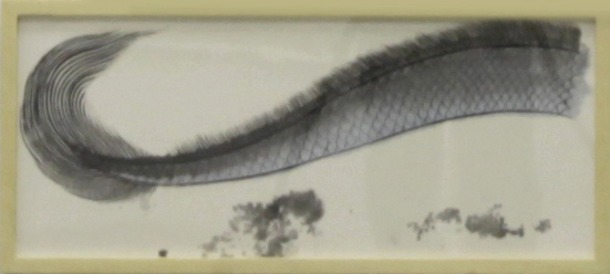 33x66×3cm (Framed)