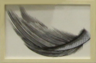 24x36.5×3cm (Framed)